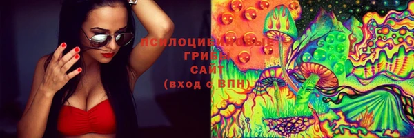 молекула духа Россошь