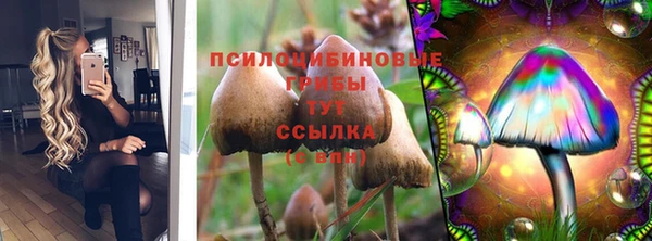 ALPHA PVP Рославль