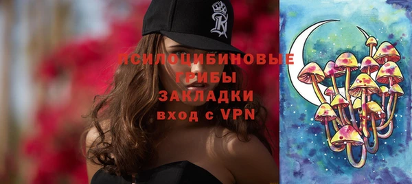 эйфоретик Алзамай