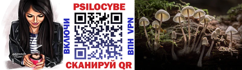 Псилоцибиновые грибы прущие грибы  Сортавала 